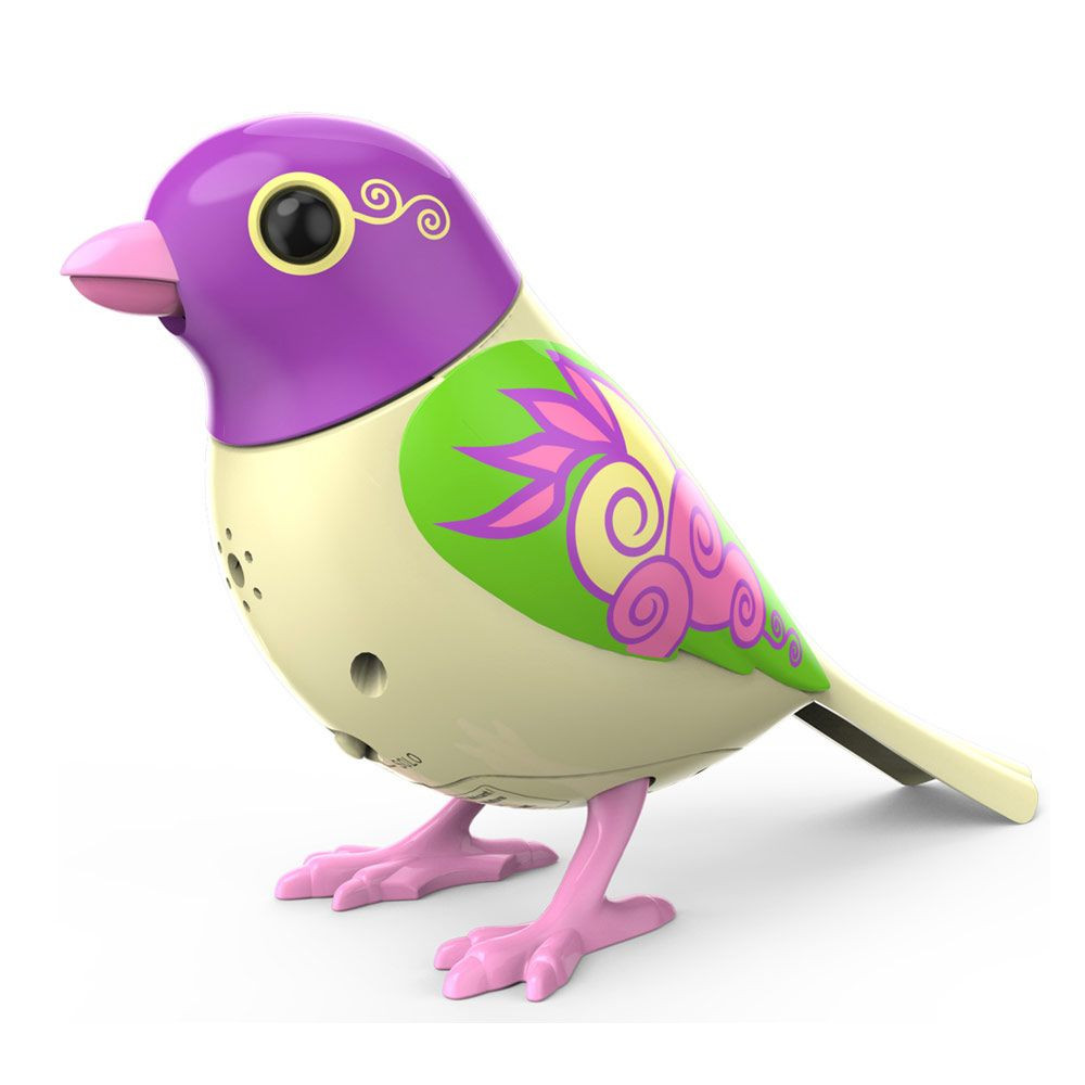 Oiseau Digibird avec bague