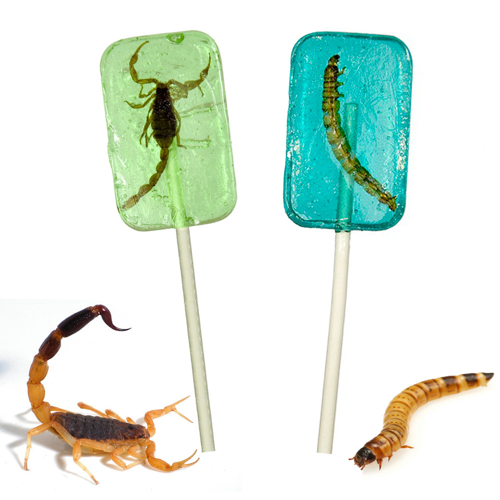 Lot de 2 sucettes insectes