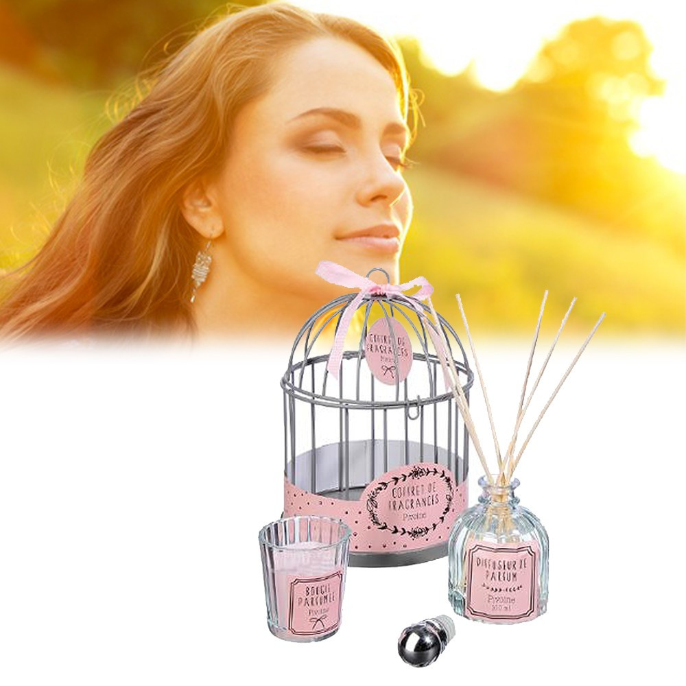 Coffret cage diffuseur