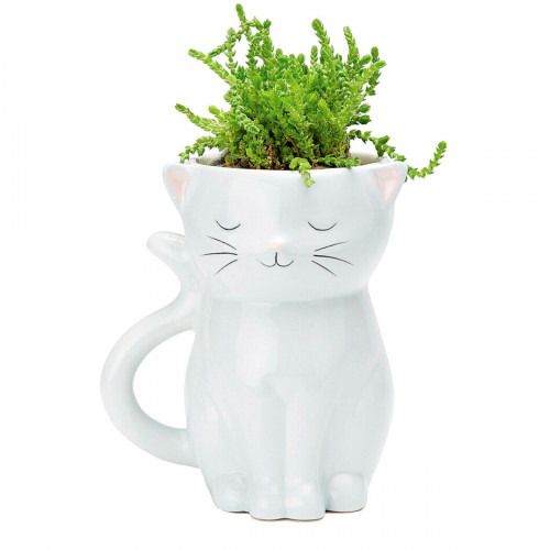 Pot de fleur chat