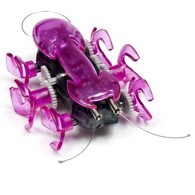 Hexbug Ant, fourmi robot 2ème génération