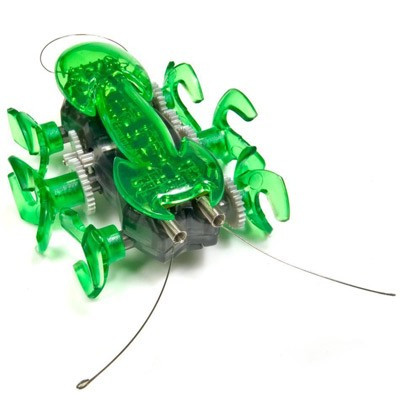 Hexbug Ant, fourmi robot 2ème génération