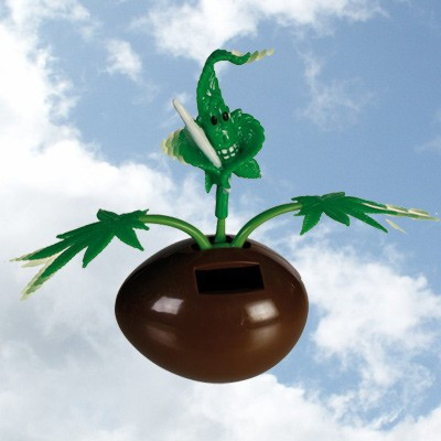 Plante cannabis solaire