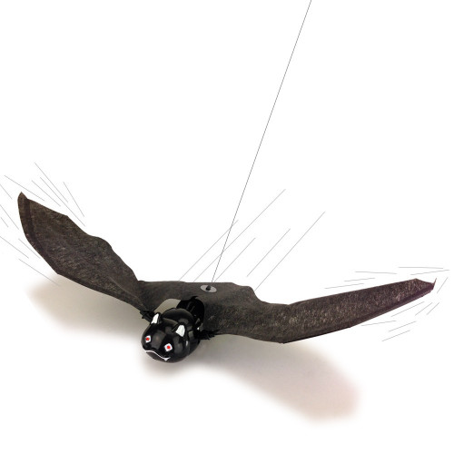 Chauve-souris volante