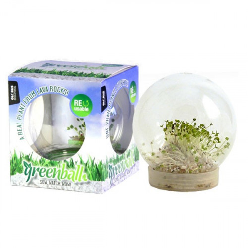 Boule Greenball Bioplante basilic