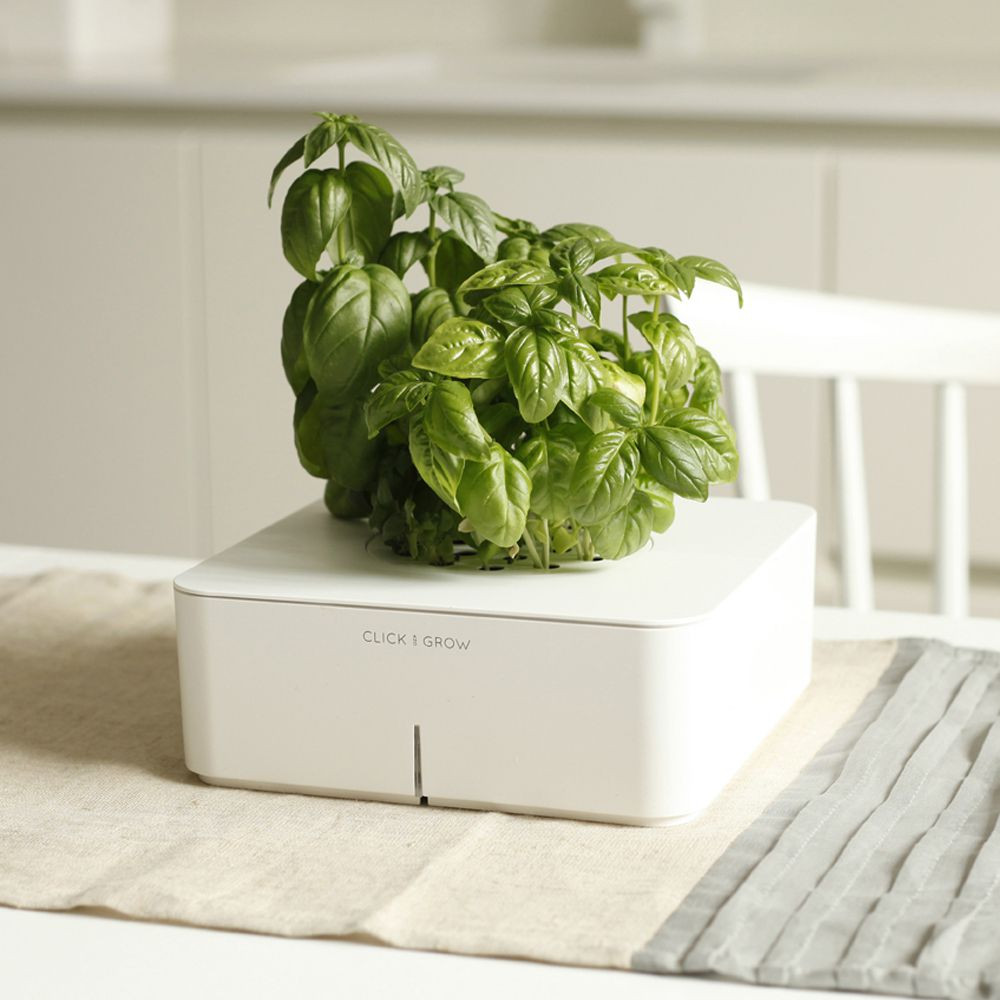 Click and Grow : Jardinière geek Basilic