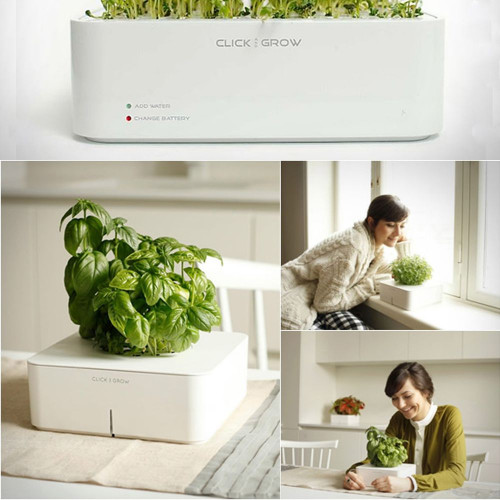 Click and Grow : Jardinière geek Basilic