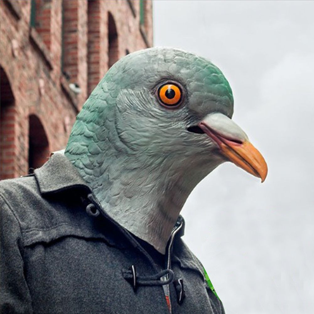 Masque tête de Pigeon