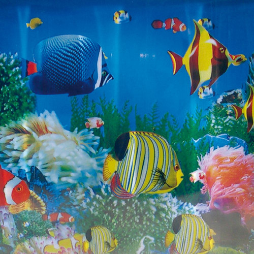 Lampe aquarium