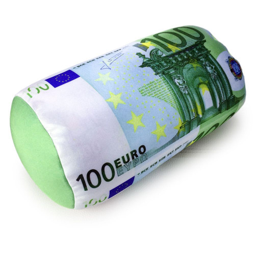 Coussin microbilles billet de 100€