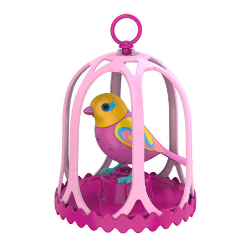 Oiseau Digibird et sa cage