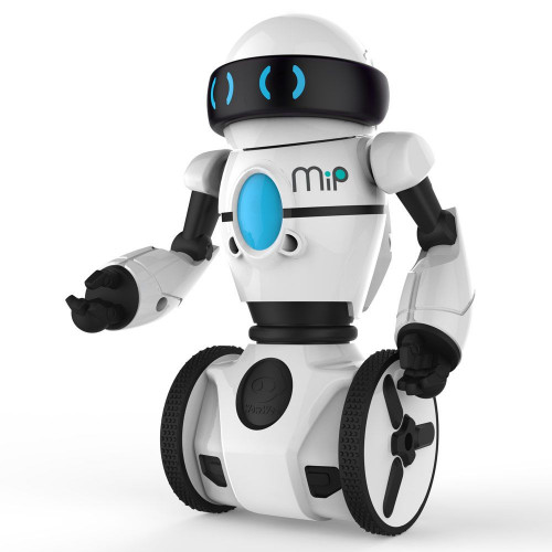 Robot MIP